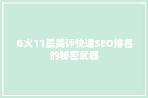 G火11星美评快速SEO排名的秘密武器