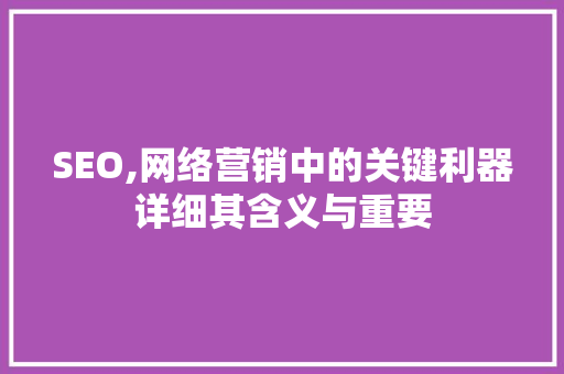 SEO,网络营销中的关键利器详细其含义与重要