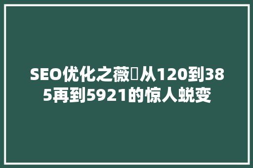 SEO优化之薇鈊从120到385再到5921的惊人蜕变