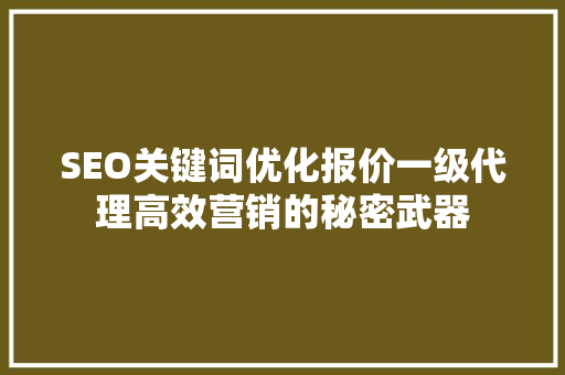 SEO关键词优化报价一级代理高效营销的秘密武器
