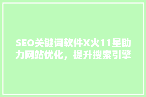 SEO关键词软件X火11星助力网站优化，提升搜索引擎排名