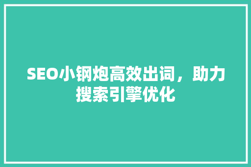 SEO小钢炮高效出词，助力搜索引擎优化