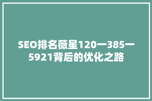 SEO排名薇星120一385一5921背后的优化之路