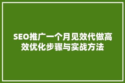 SEO推广一个月见效代做高效优化步骤与实战方法