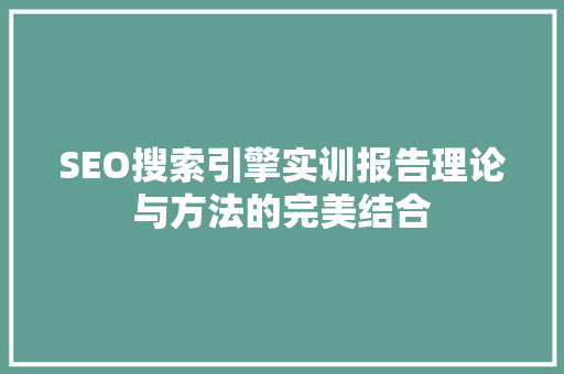 SEO搜索引擎实训报告理论与方法的完美结合