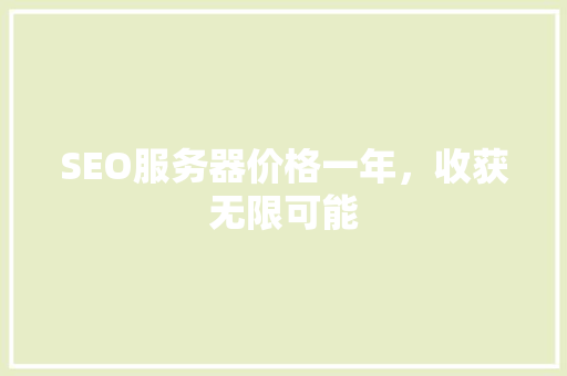 SEO服务器价格一年，收获无限可能