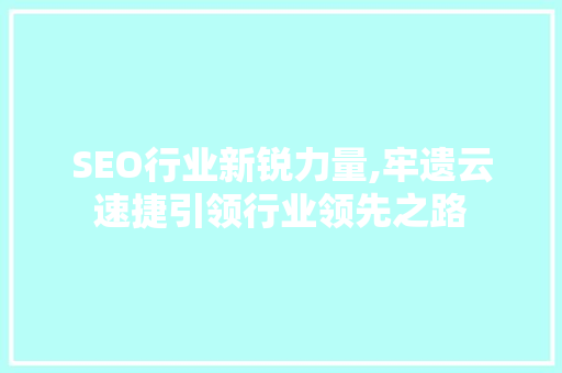 SEO行业新锐力量,牢遗云速捷引领行业领先之路