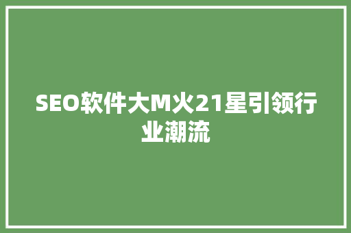 SEO软件大M火21星引领行业潮流