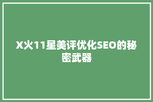 X火11星美评优化SEO的秘密武器