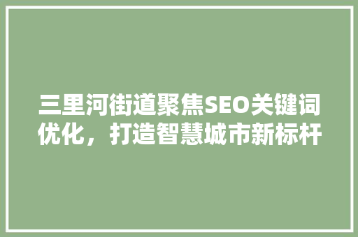 三里河街道聚焦SEO关键词优化，打造智慧城市新标杆