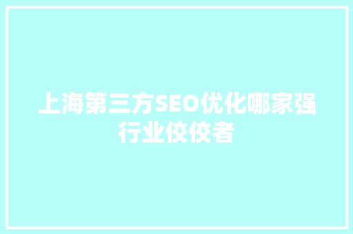 上海第三方SEO优化哪家强行业佼佼者