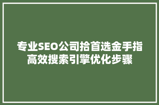 专业SEO公司拾首选金手指高效搜索引擎优化步骤