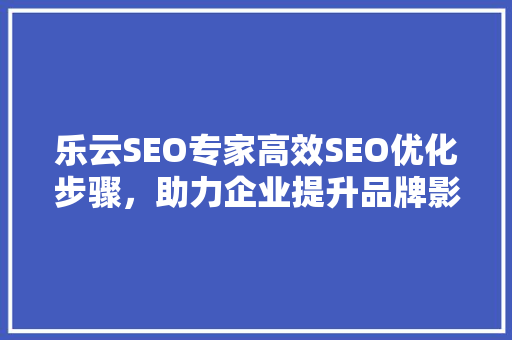 乐云SEO专家高效SEO优化步骤，助力企业提升品牌影响力