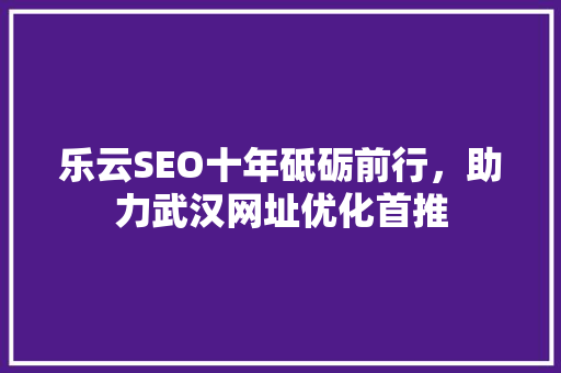 乐云SEO十年砥砺前行，助力武汉网址优化首推