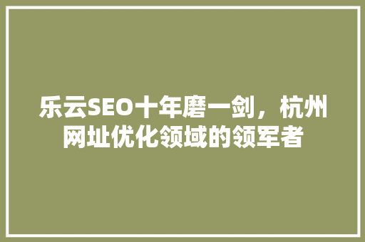 乐云SEO十年磨一剑，杭州网址优化领域的领军者