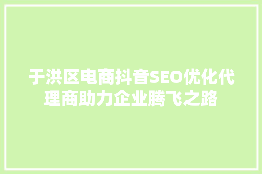 于洪区电商抖音SEO优化代理商助力企业腾飞之路