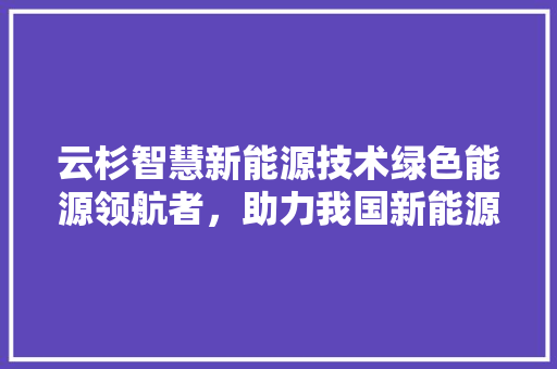 云杉智慧新能源技术绿色能源领航者，助力我国新能源事业发展