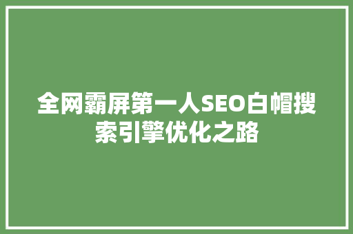 全网霸屏第一人SEO白帽搜索引擎优化之路