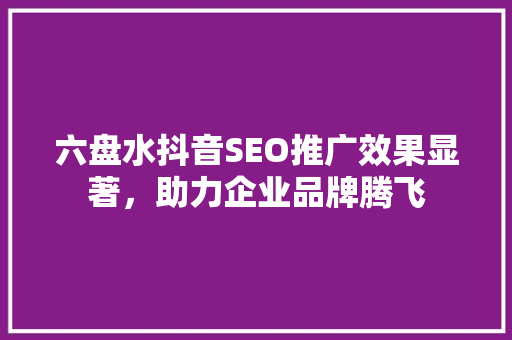 六盘水抖音SEO推广效果显著，助力企业品牌腾飞