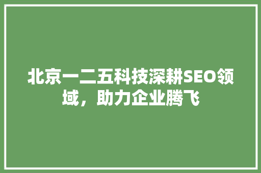 北京一二五科技深耕SEO领域，助力企业腾飞