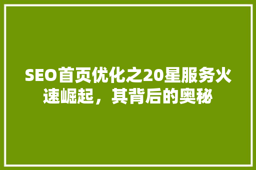 SEO首页优化之20星服务火速崛起，其背后的奥秘