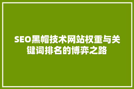 SEO黑帽技术网站权重与关键词排名的博弈之路