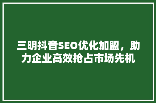 三明抖音SEO优化加盟，助力企业高效抢占市场先机