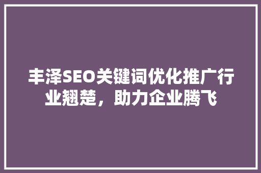 丰泽SEO关键词优化推广行业翘楚，助力企业腾飞