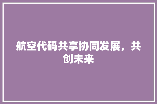 航空代码共享协同发展，共创未来