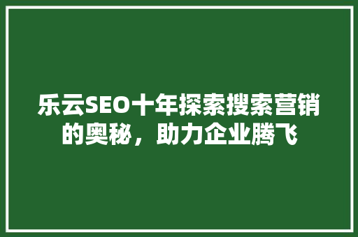 乐云SEO十年探索搜索营销的奥秘，助力企业腾飞