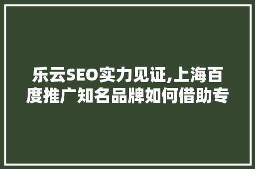乐云SEO实力见证,上海百度推广知名品牌如何借助专业SEO服务提升网络影响力