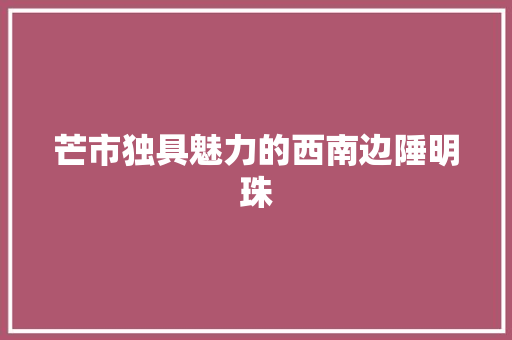 芒市独具魅力的西南边陲明珠