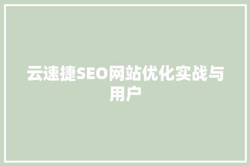 云速捷SEO网站优化实战与用户