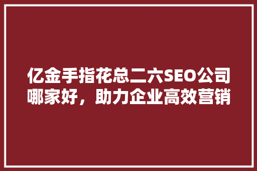 亿金手指花总二六SEO公司哪家好，助力企业高效营销