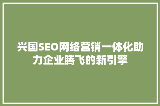 兴国SEO网络营销一体化助力企业腾飞的新引擎