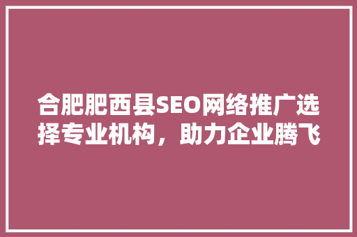 合肥肥西县SEO网络推广选择专业机构，助力企业腾飞