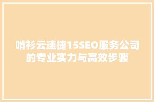 啃衫云速捷15SEO服务公司的专业实力与高效步骤