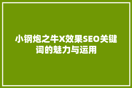 小钢炮之牛X效果SEO关键词的魅力与运用