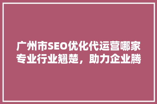 广州市SEO优化代运营哪家专业行业翘楚，助力企业腾飞