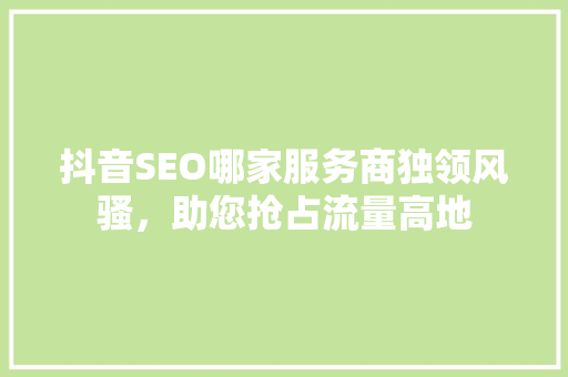 抖音SEO哪家服务商独领风骚，助您抢占流量高地