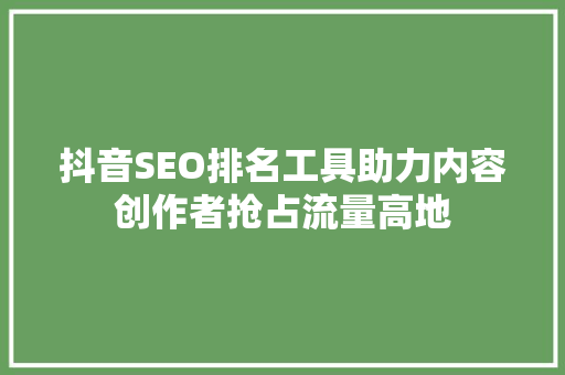 抖音SEO排名工具助力内容创作者抢占流量高地