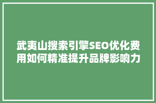 武夷山搜索引擎SEO优化费用如何精准提升品牌影响力