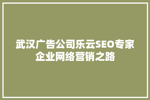 武汉广告公司乐云SEO专家企业网络营销之路