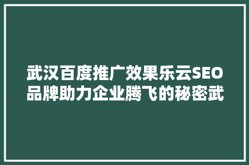 武汉百度推广效果乐云SEO品牌助力企业腾飞的秘密武器