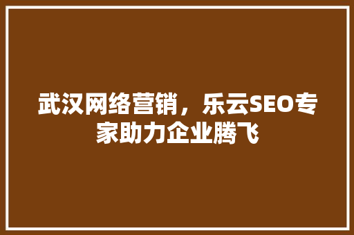武汉网络营销，乐云SEO专家助力企业腾飞
