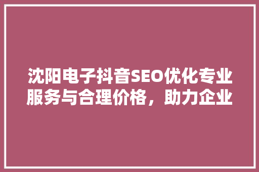 沈阳电子抖音SEO优化专业服务与合理价格，助力企业品牌腾飞