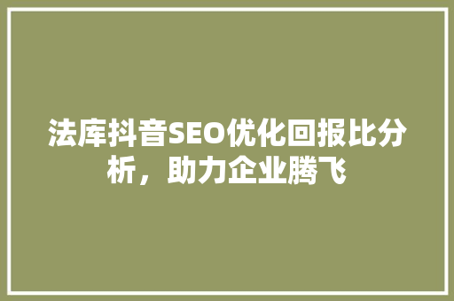法库抖音SEO优化回报比分析，助力企业腾飞