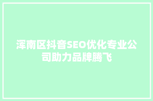 浑南区抖音SEO优化专业公司助力品牌腾飞