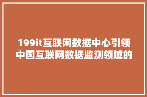 199it互联网数据中心引领中国互联网数据监测领域的领军者