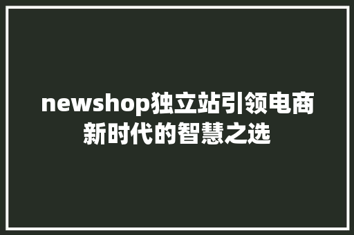 newshop独立站引领电商新时代的智慧之选